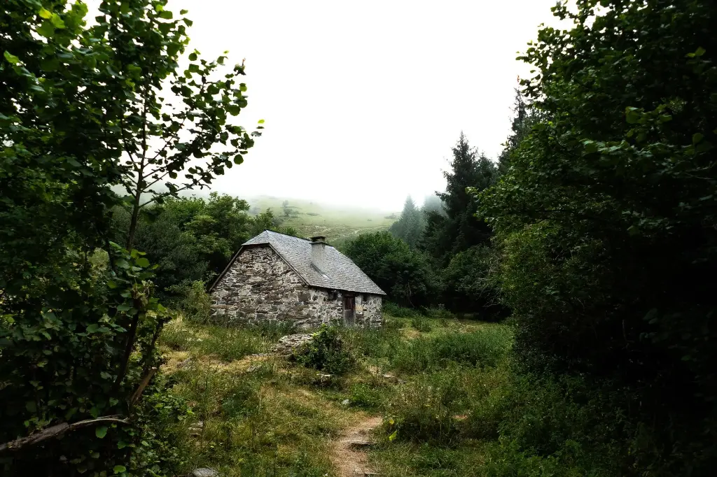 Perdu dans les bois